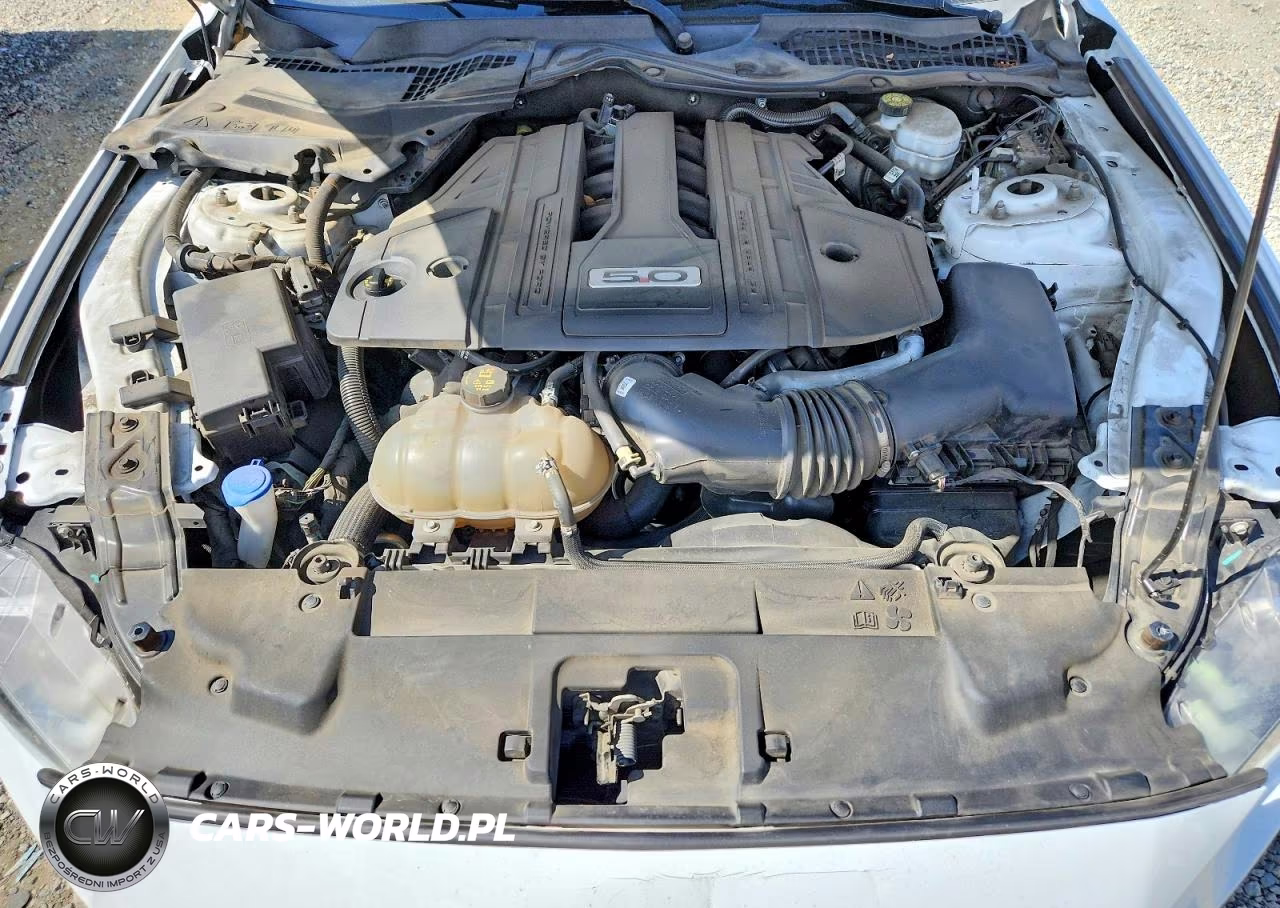 2023 Ford Mustang Gt VIN:1FA6P8CF6P5305073 - 11