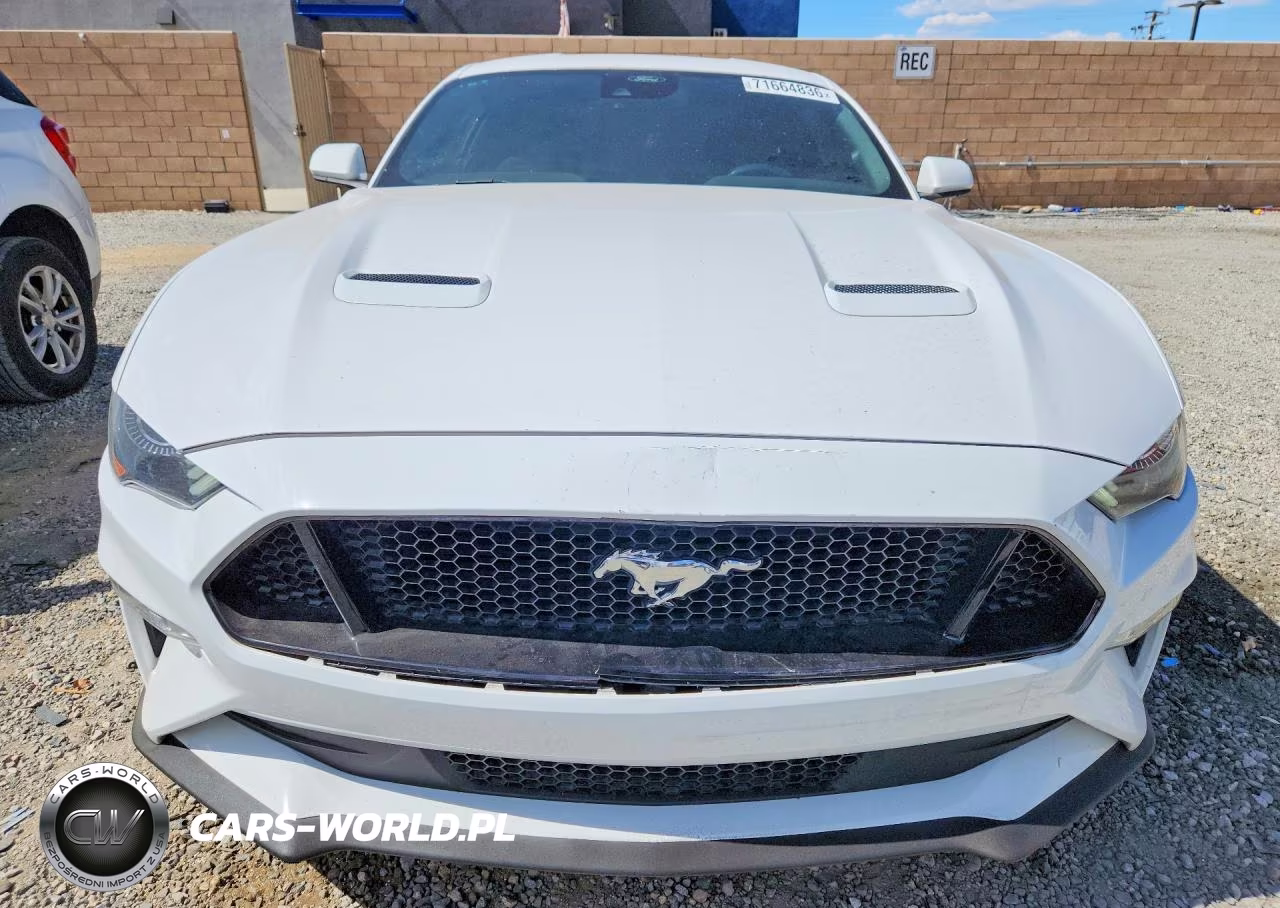 2023 Ford Mustang Gt VIN:1FA6P8CF6P5305073 - 5