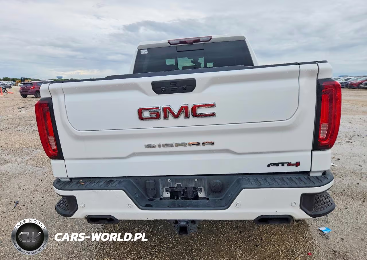2020 GMC Sierra K1500 At4 VIN:1GTP9EEL5LZ335744 - 6