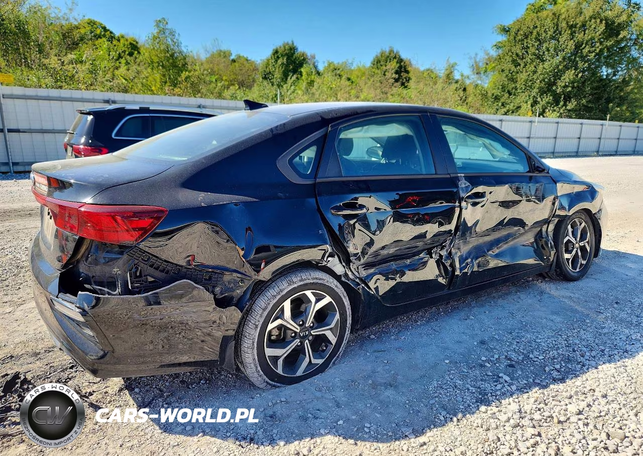 2019 Kia Forte Lxs VIN:3KPF24AD4KE109116 - 3