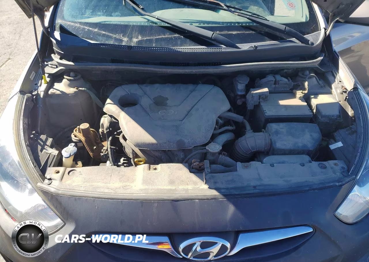 2013 Hyundai Accent VIN:KMHCT5AE2DU118461 - 11