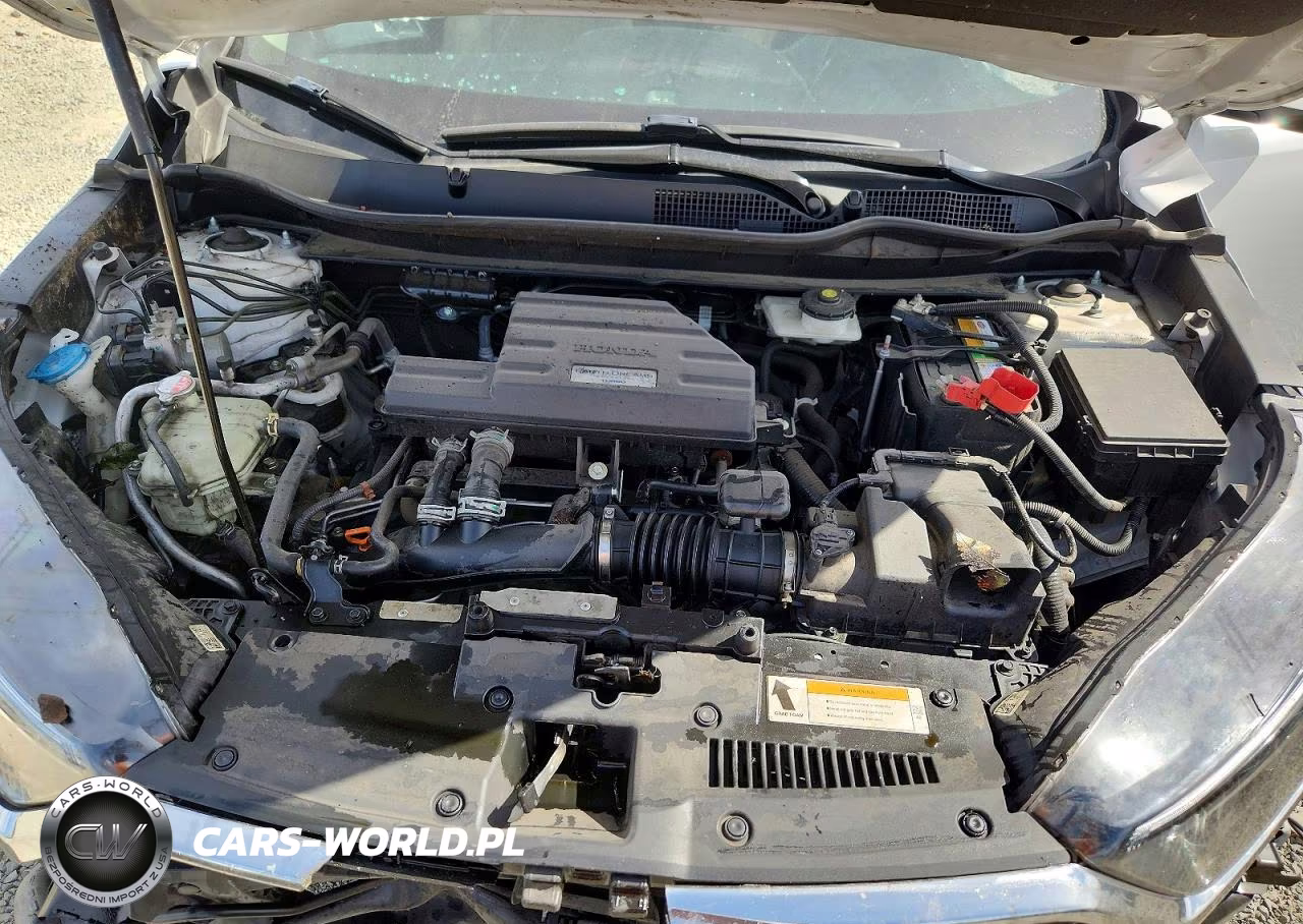 2019 Honda Cr-V Exl VIN:5J6RW1H82KA025415 - 12