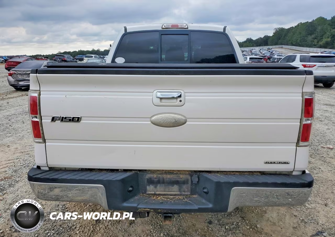 2011 Ford F150 Supercrew VIN:1FTFW1EF6BFB13804 - 6