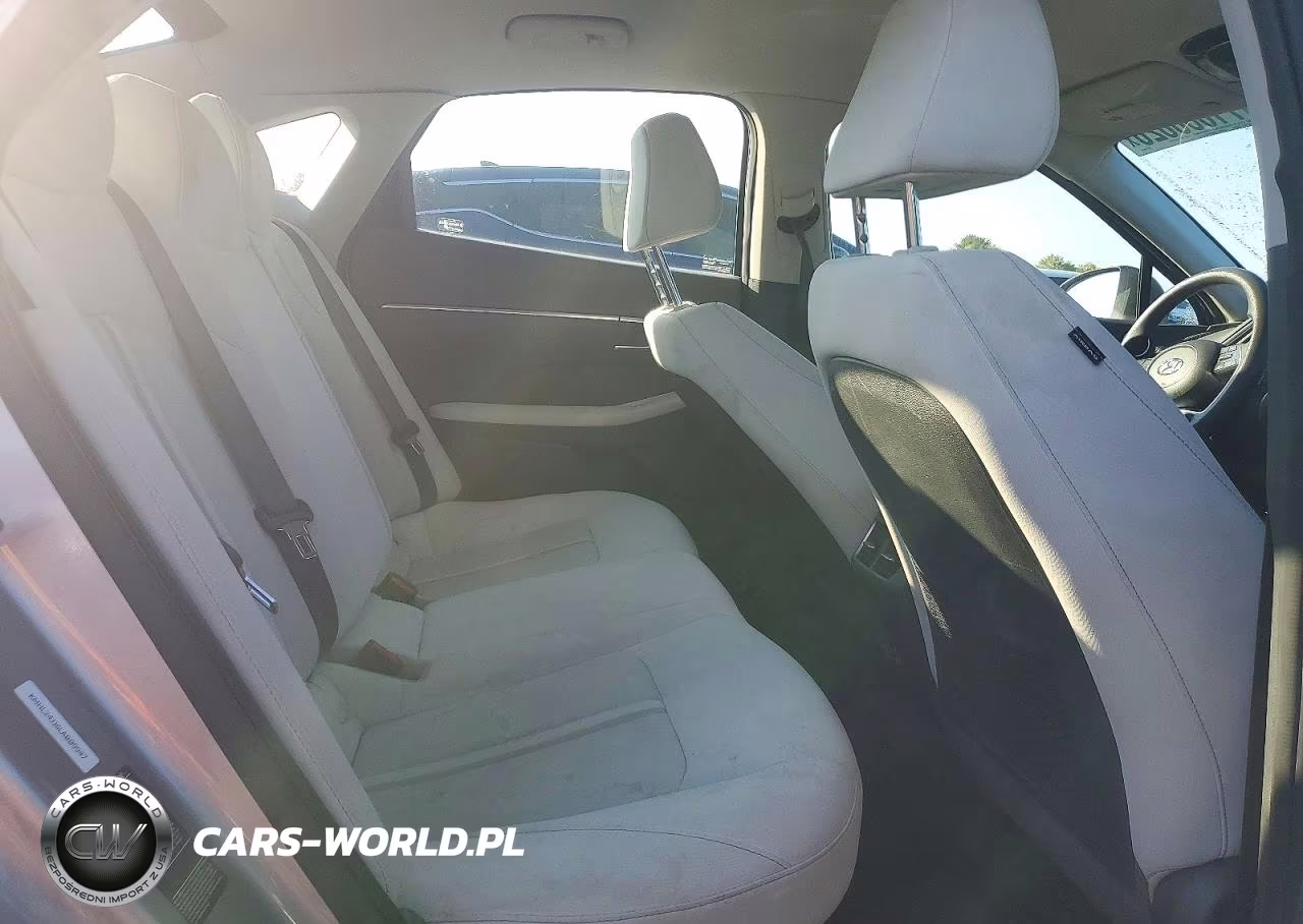 2020 Hyundai Sonata Hybrid Blue VIN:KMHL24JJ6LA009947 - 10