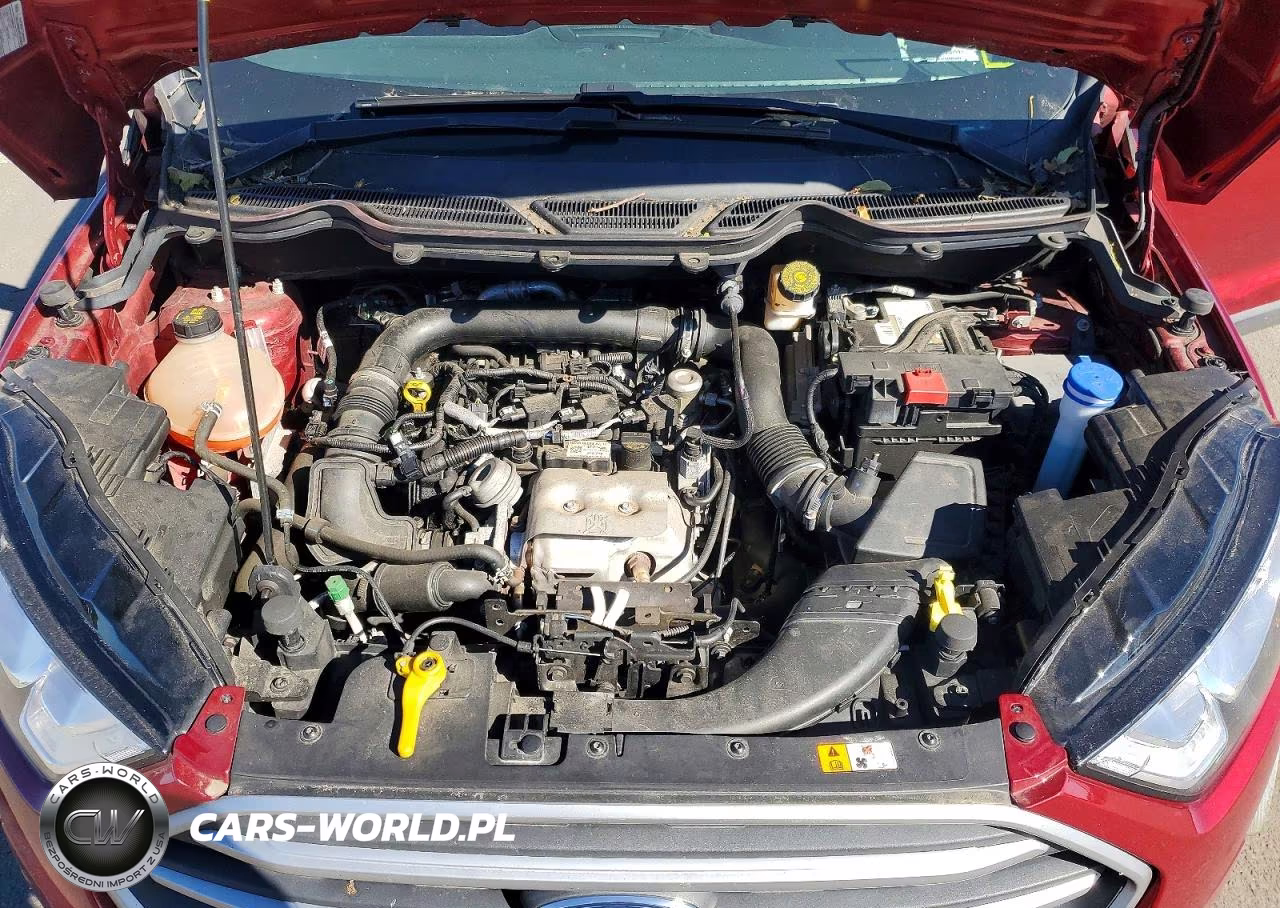 2019 Ford Ecosport Se VIN:MAJ3S2GEXKC260661 - 12