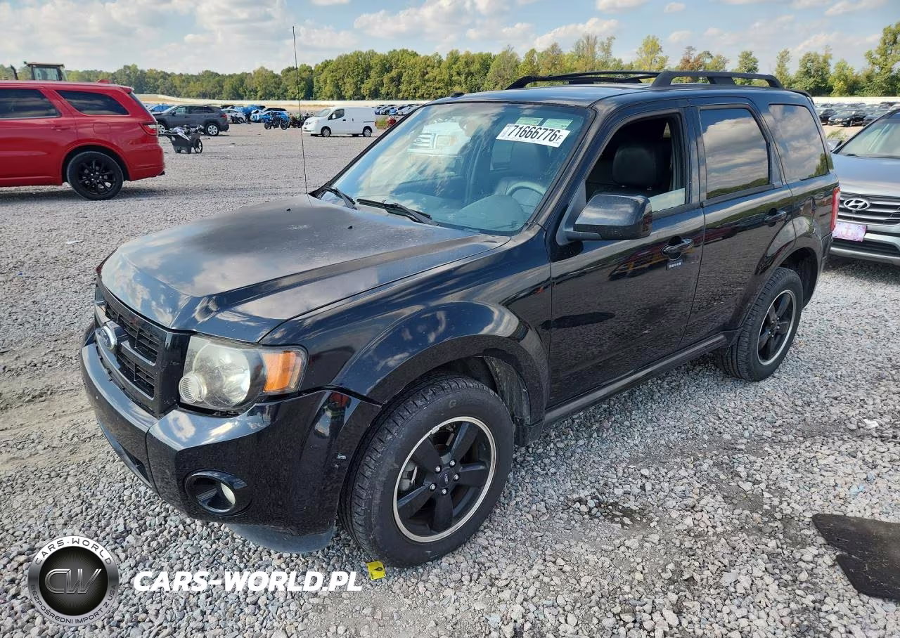 2010 Ford Escape Xlt VIN:1FMCU0D7XAKA30715 - 1
