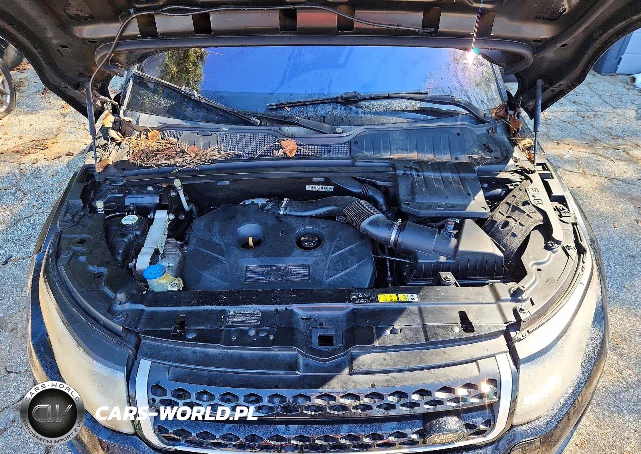 2016 Land Rover Range Rover Evoque Se VIN:SALVP2BG7GH079369 - 11
