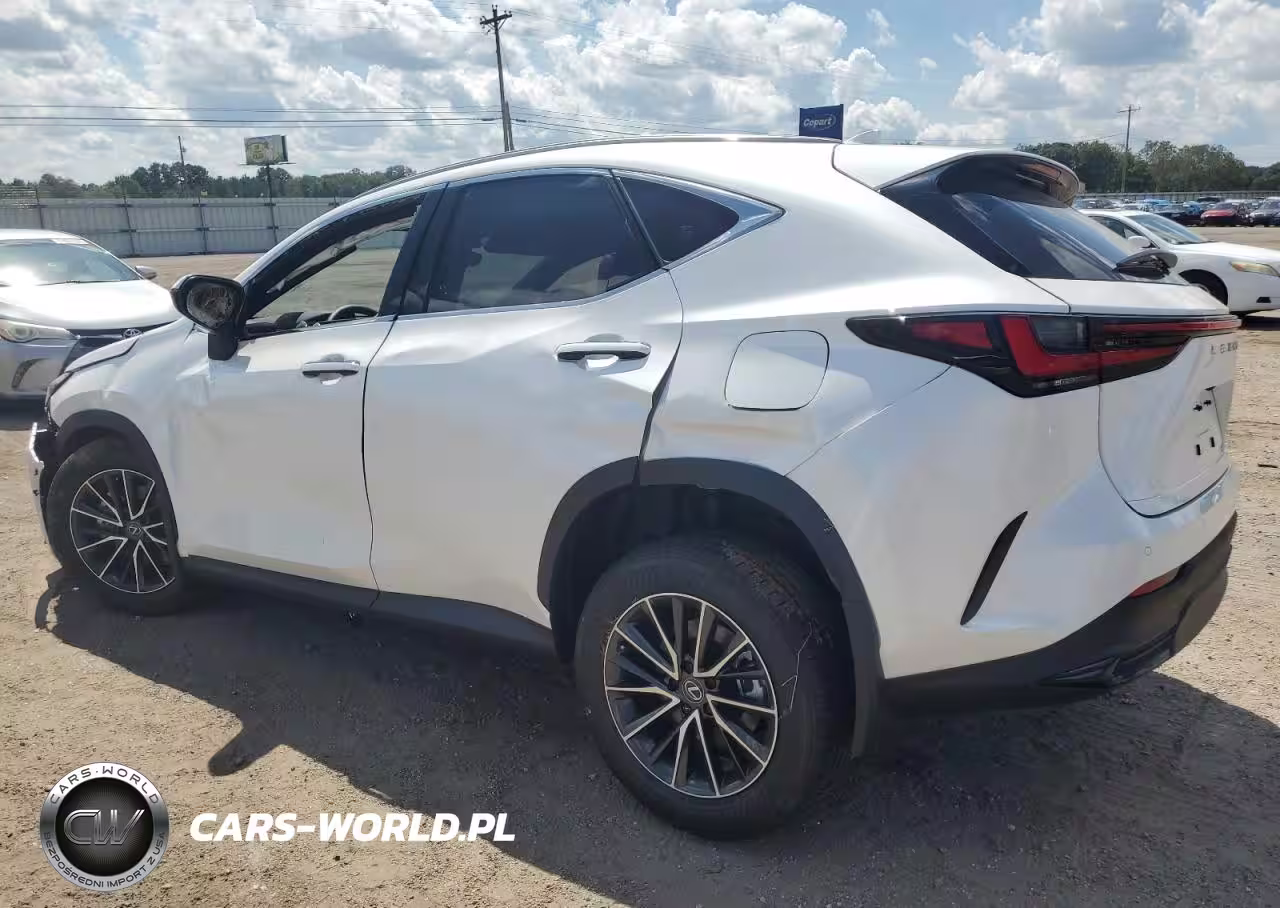 2025 Lexus Nx 250 Premium VIN:JTJGDCAZXS2018351 - 2