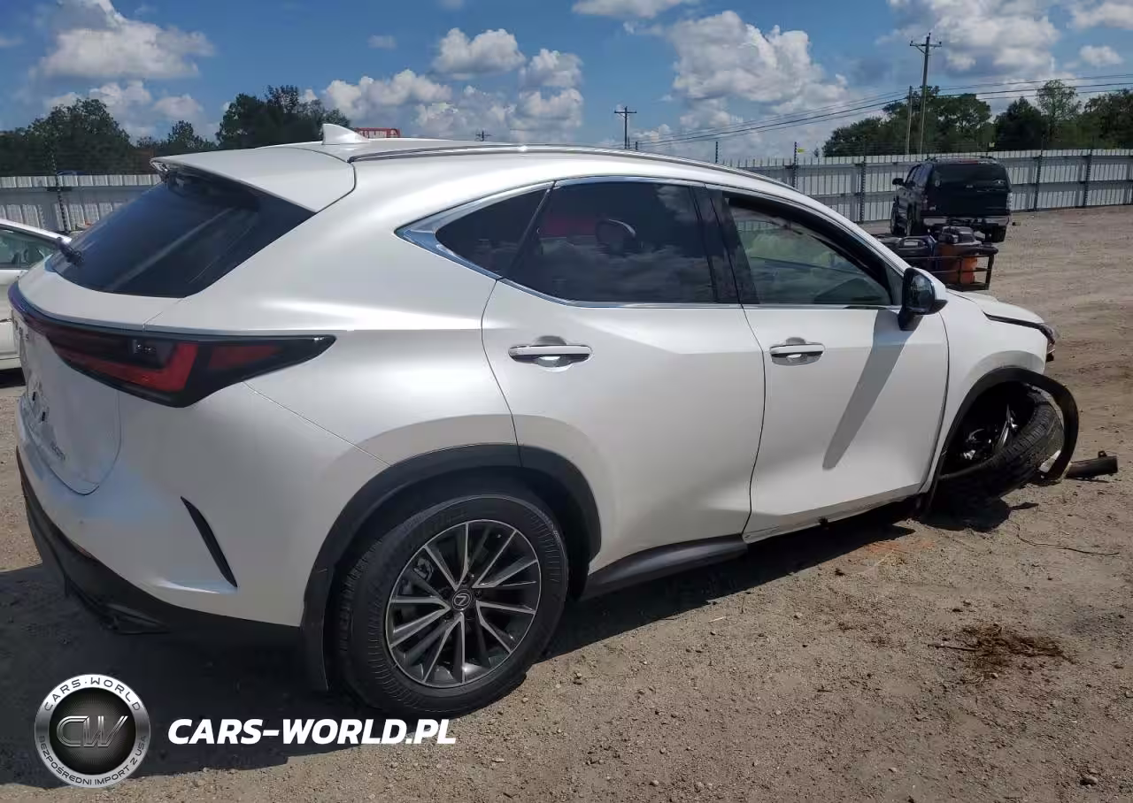 2025 Lexus Nx 250 Premium VIN:JTJGDCAZXS2018351 - 3