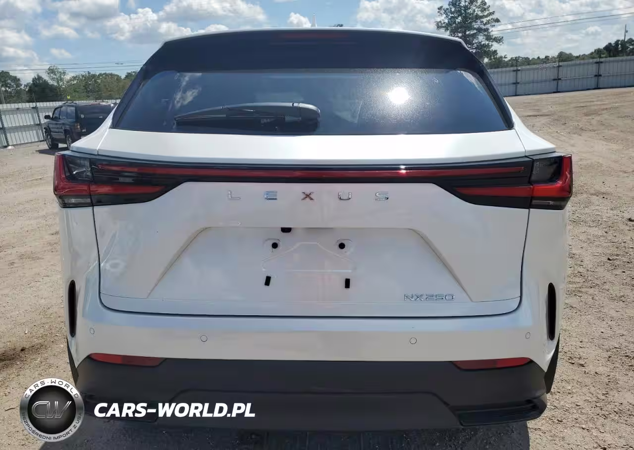 2025 Lexus Nx 250 Premium VIN:JTJGDCAZXS2018351 - 6