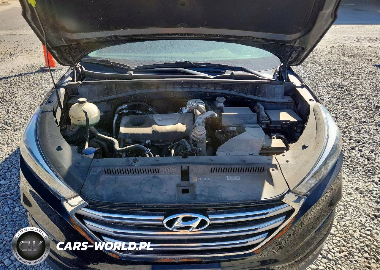 2017 Hyundai Tucson Limited VIN:KM8J3CA2XHU336414 - 12