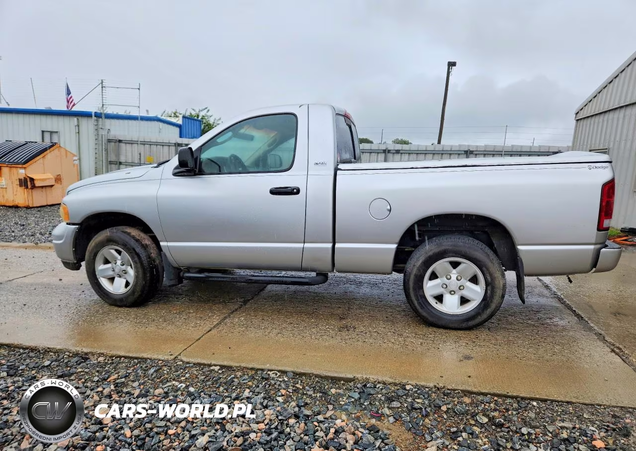 2002 Dodge Ram 1500 VIN:1D7HA16N22J129241 - 2