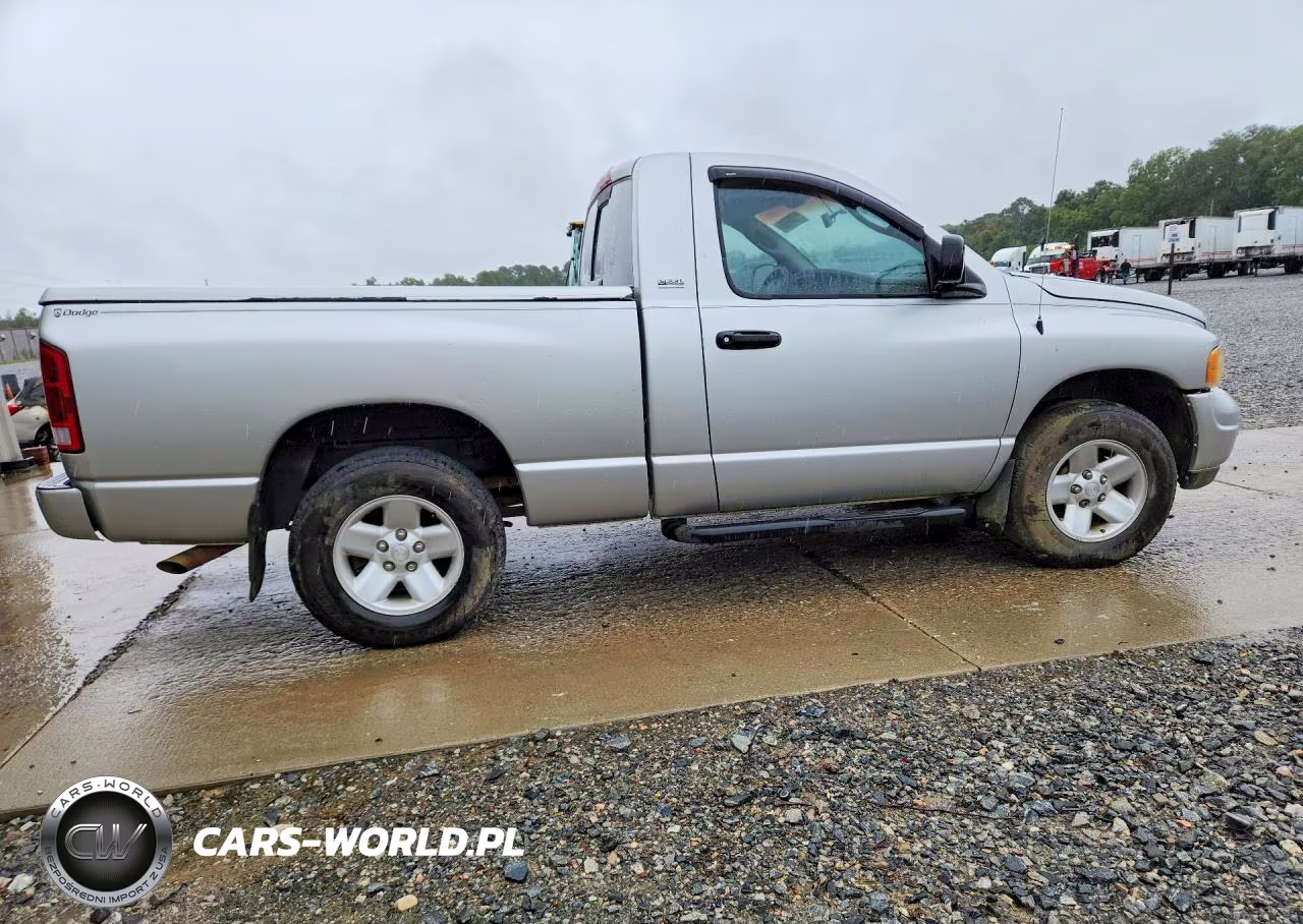 2002 Dodge Ram 1500 VIN:1D7HA16N22J129241 - 3