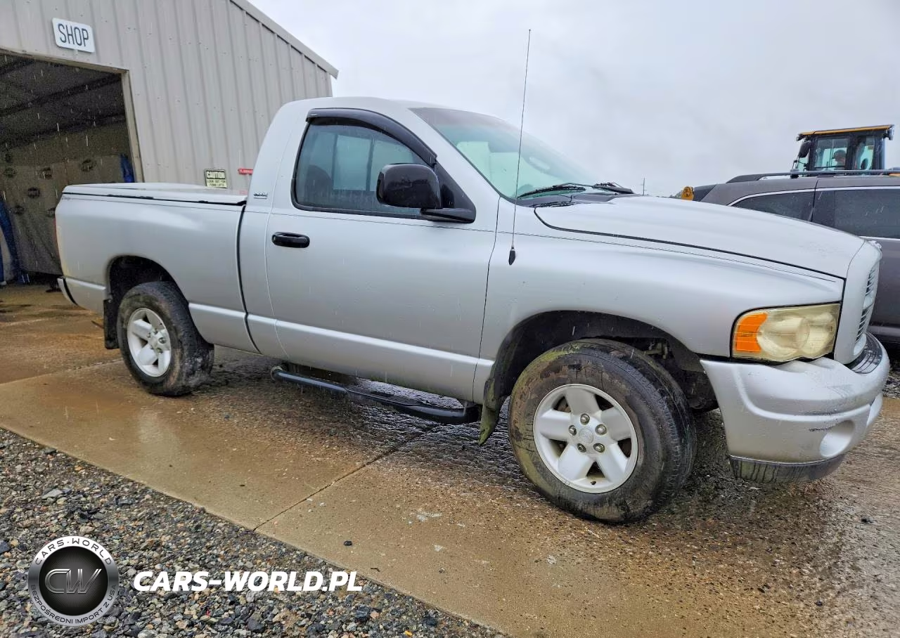 2002 Dodge Ram 1500 VIN:1D7HA16N22J129241 - 4