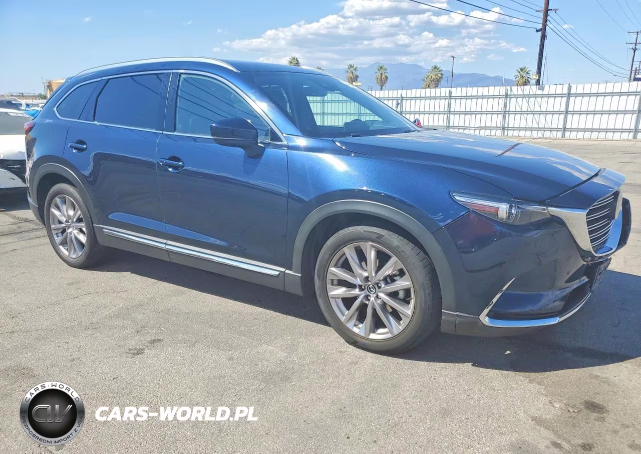 2020 Mazda Cx-9 Grand Touring VIN:JM3TCADYXL0412769 - 4