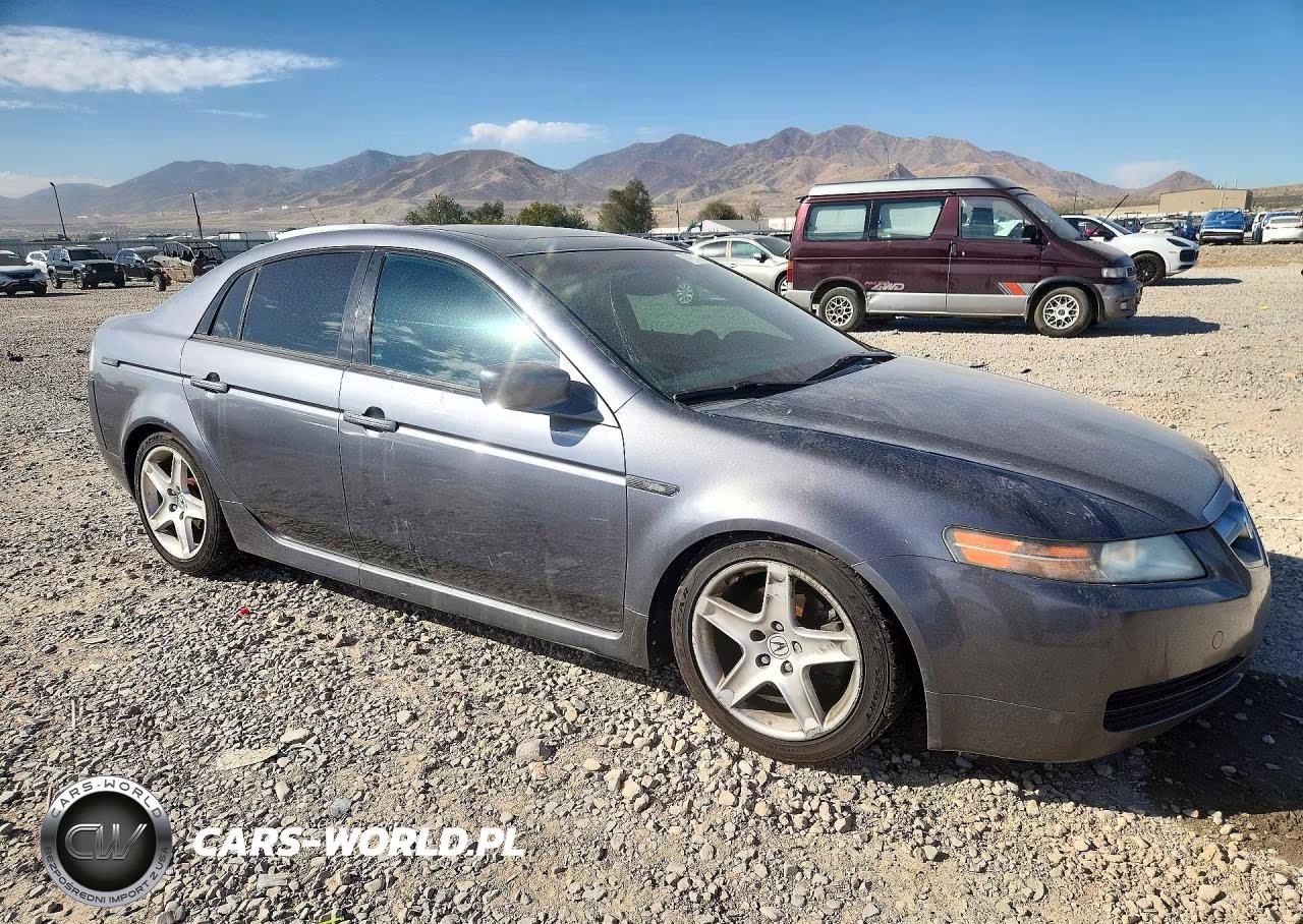2006 Acura 3.2Tl VIN:19UUA66216A022054 - 4