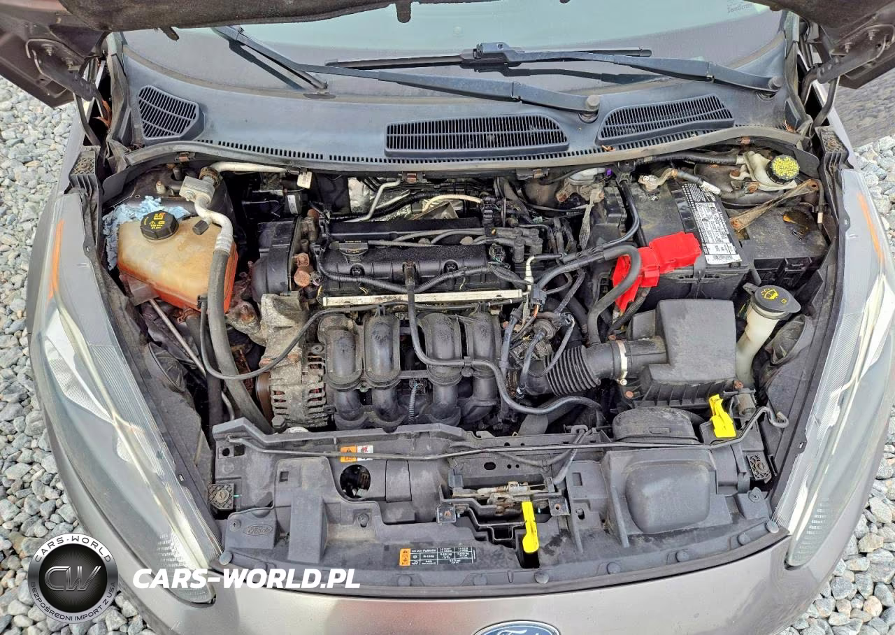 2014 Ford Fiesta Se VIN:3FADP4BJ7EM147601 - 11