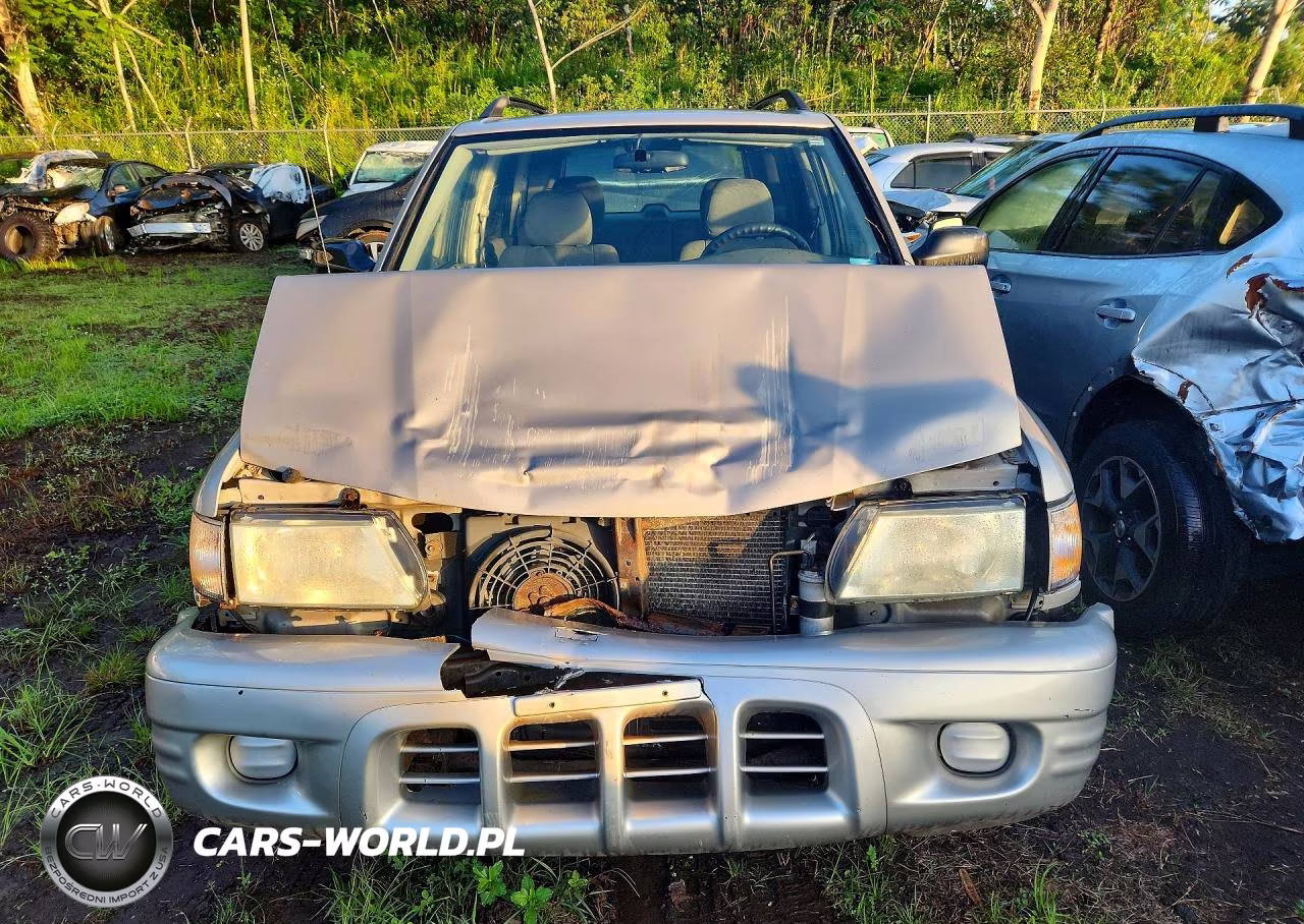 2004 Isuzu Rodeo S VIN:4S2DM58W844308256 - 5