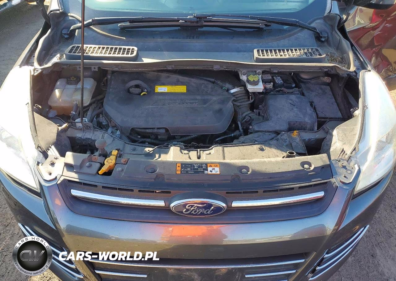 2016 Ford Escape Se VIN:1FMCU9GXXGUC49316 - 12
