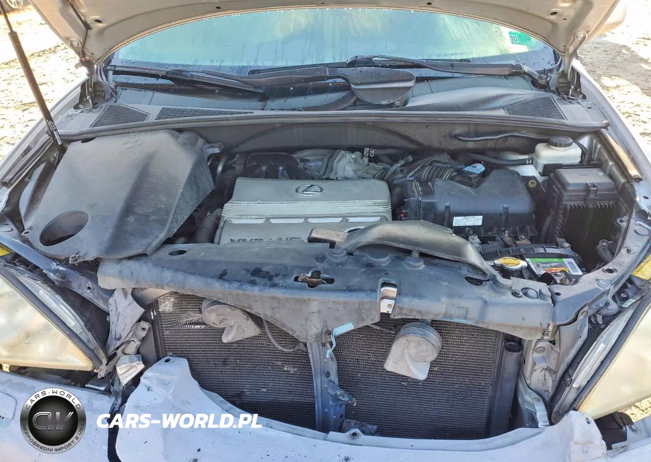 2006 Lexus Rx 330 VIN:2T2HA31U76C100982 - 11