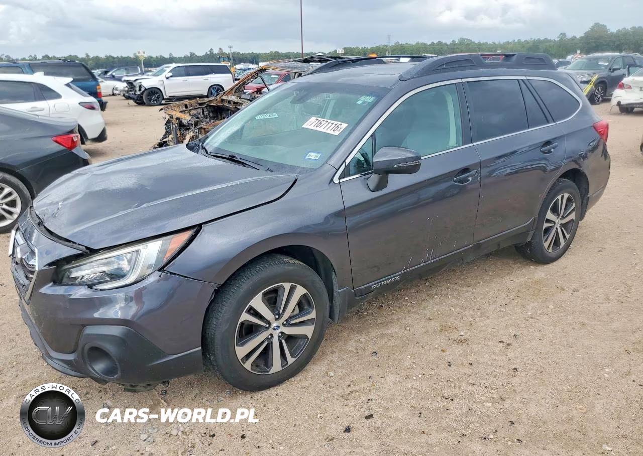 2019 Subaru Outback 3.6R Limited VIN:4S4BSENC2K3215301 - 1