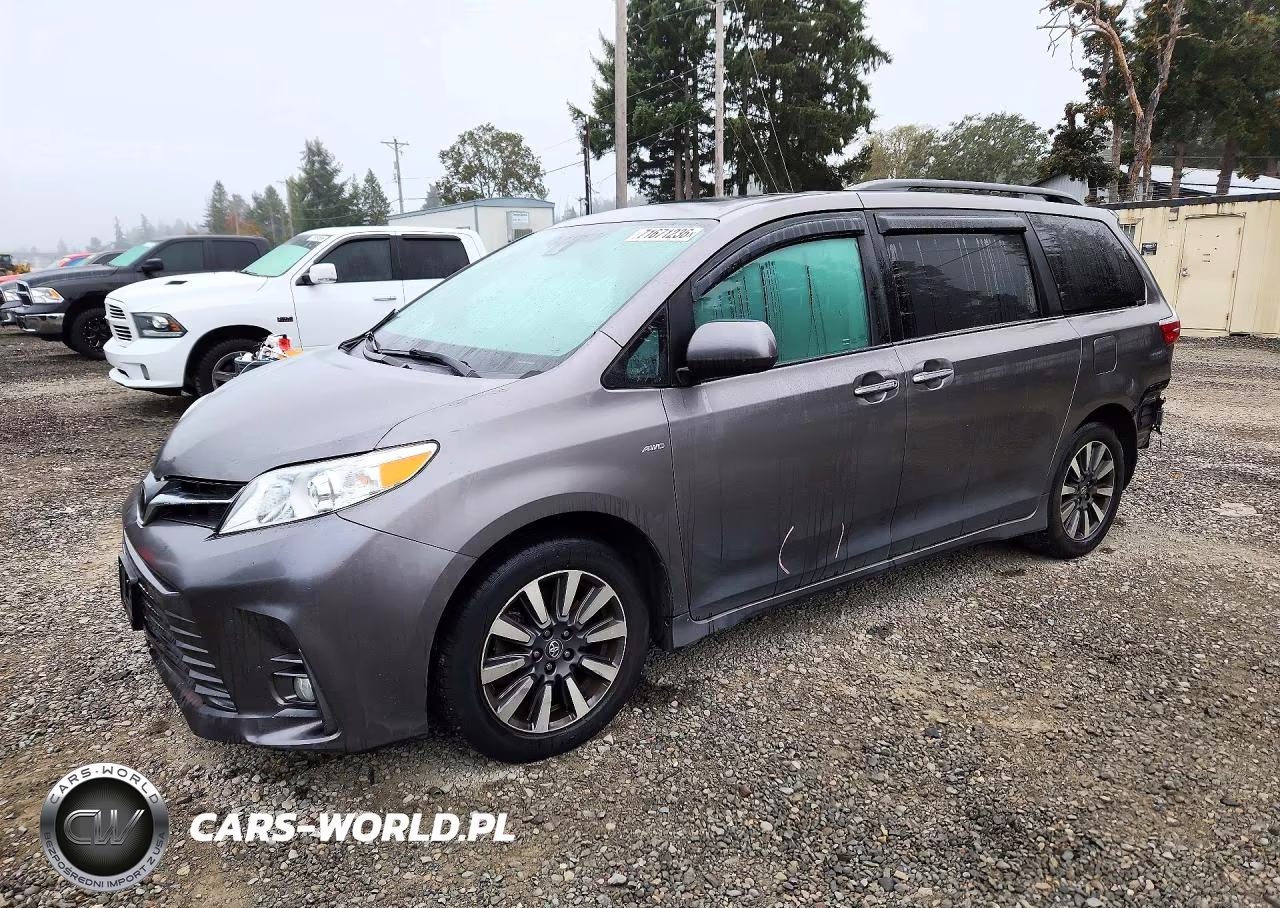2018 Toyota Sienna Xle 7-Passenger VIN:5TDDZ3DCXJS196802 - 1