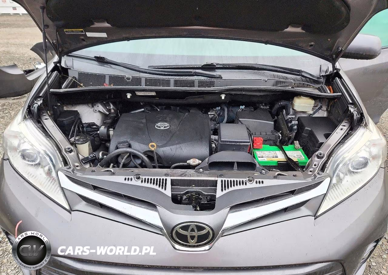 2018 Toyota Sienna Xle 7-Passenger VIN:5TDDZ3DCXJS196802 - 12
