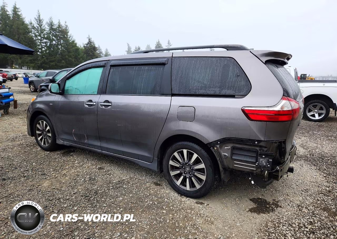 2018 Toyota Sienna Xle 7-Passenger VIN:5TDDZ3DCXJS196802 - 2