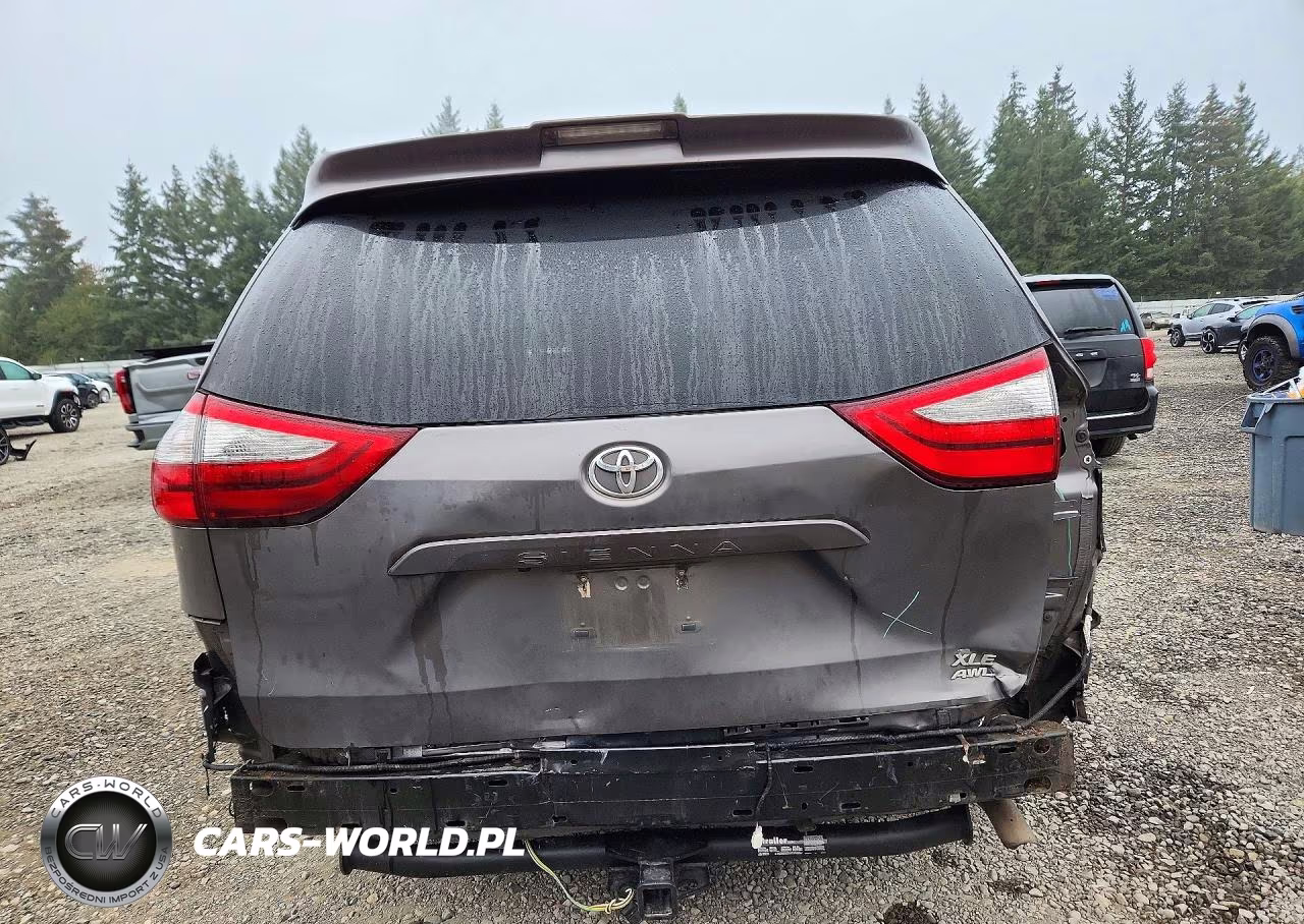 2018 Toyota Sienna Xle 7-Passenger VIN:5TDDZ3DCXJS196802 - 6