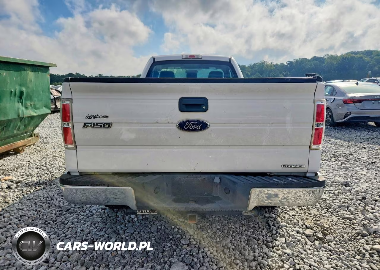 2014 Ford F150 VIN:1FTNF1CF8EKD63877 - 6