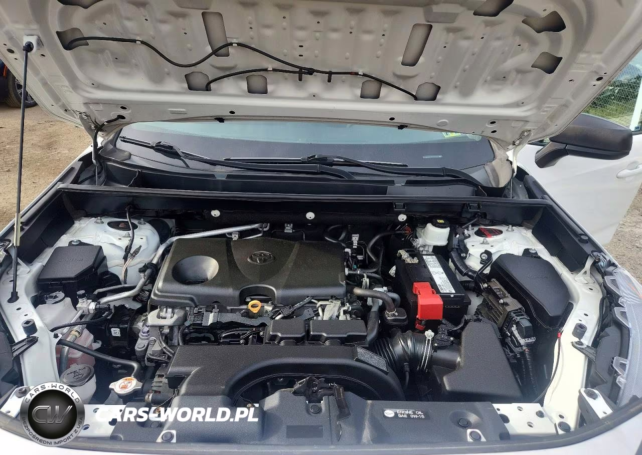 2019 Toyota Rav4 Le VIN:2T3H1RFV7KC021077 - 11