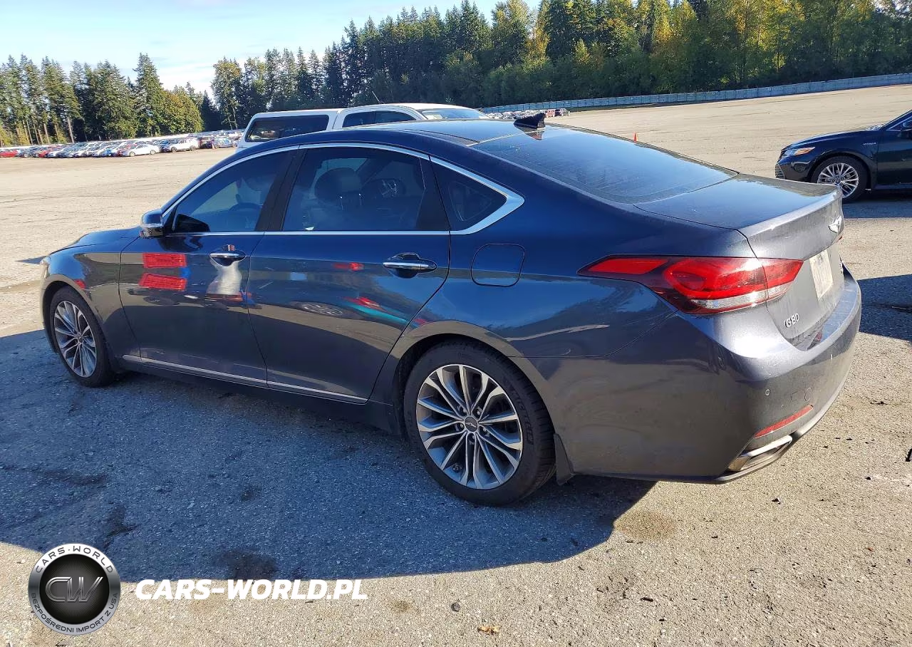 2017 Genesis G80 3.8 VIN:KMHGN4JE4HU176230 - 2