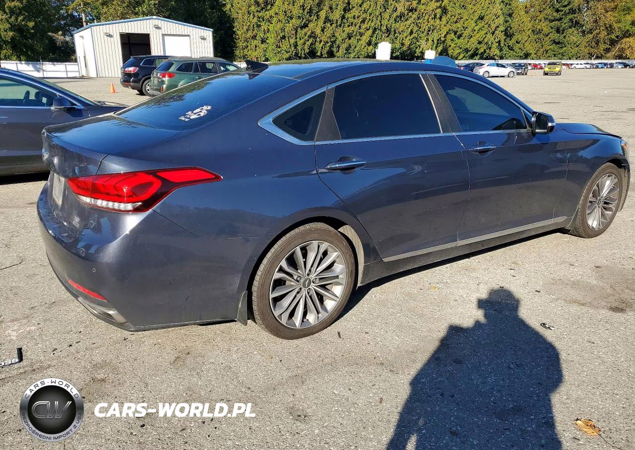 2017 Genesis G80 3.8 VIN:KMHGN4JE4HU176230 - 3