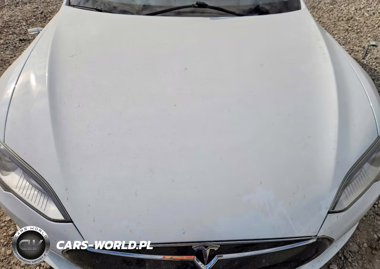 2013 Tesla Model S VIN:5YJSA1AC1DFP10231 - 11