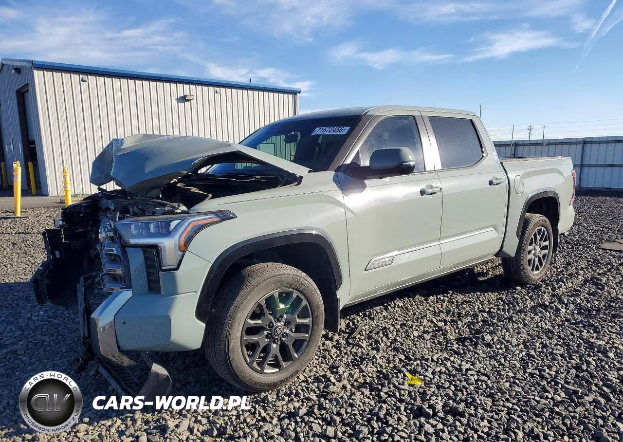 2025 Toyota Tundra Crewmax Platinum VIN:5TFNA5DB3SX335680 - 1