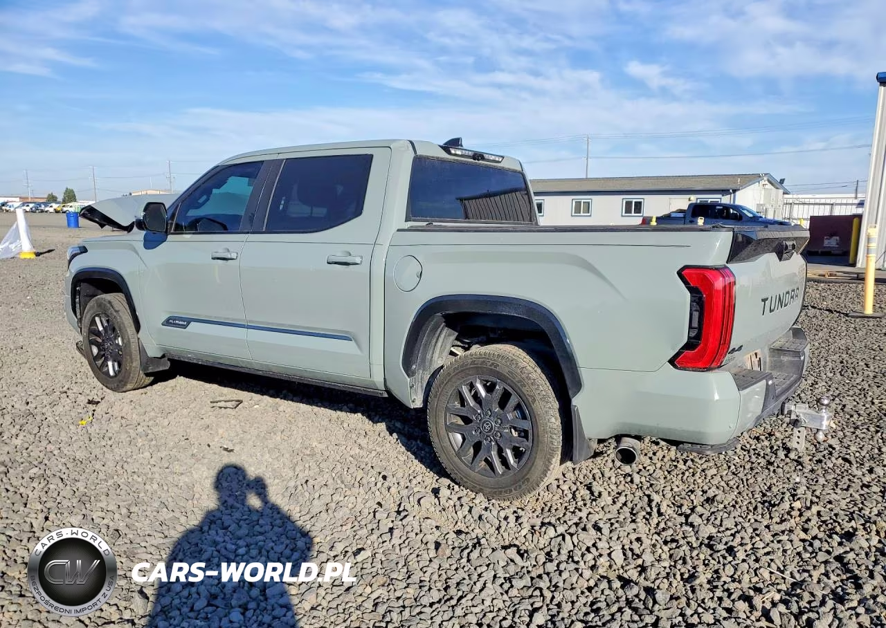 2025 Toyota Tundra Crewmax Platinum VIN:5TFNA5DB3SX335680 - 2