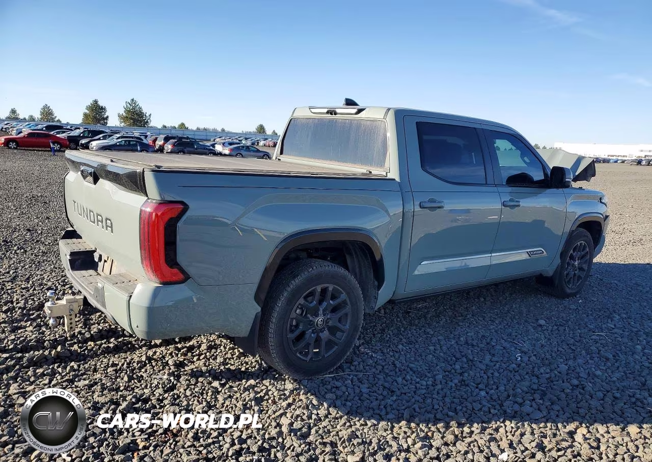 2025 Toyota Tundra Crewmax Platinum VIN:5TFNA5DB3SX335680 - 3