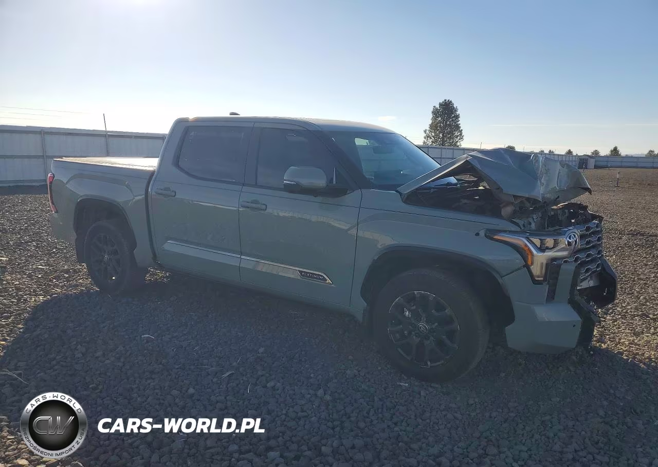2025 Toyota Tundra Crewmax Platinum VIN:5TFNA5DB3SX335680 - 4