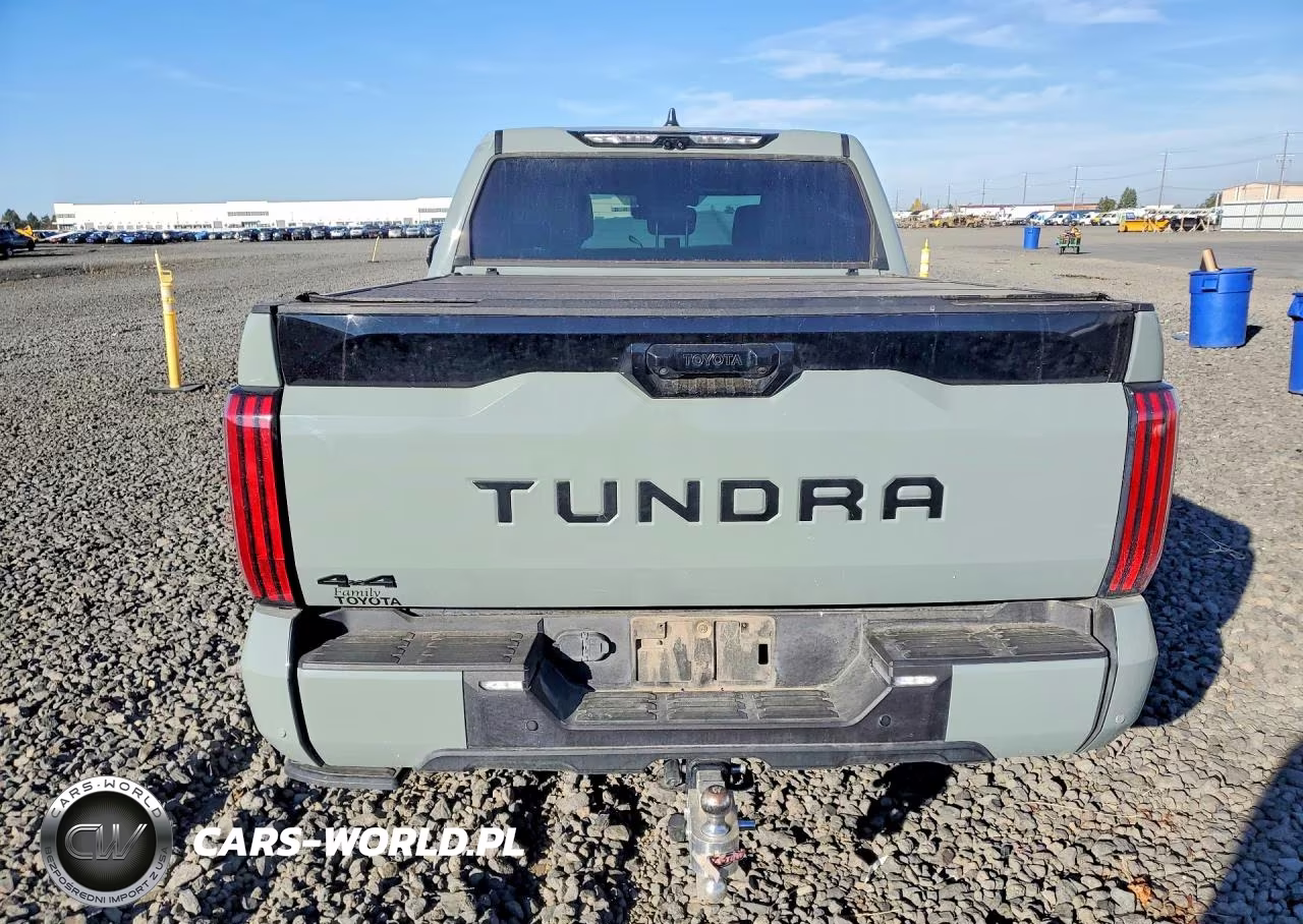 2025 Toyota Tundra Crewmax Platinum VIN:5TFNA5DB3SX335680 - 6