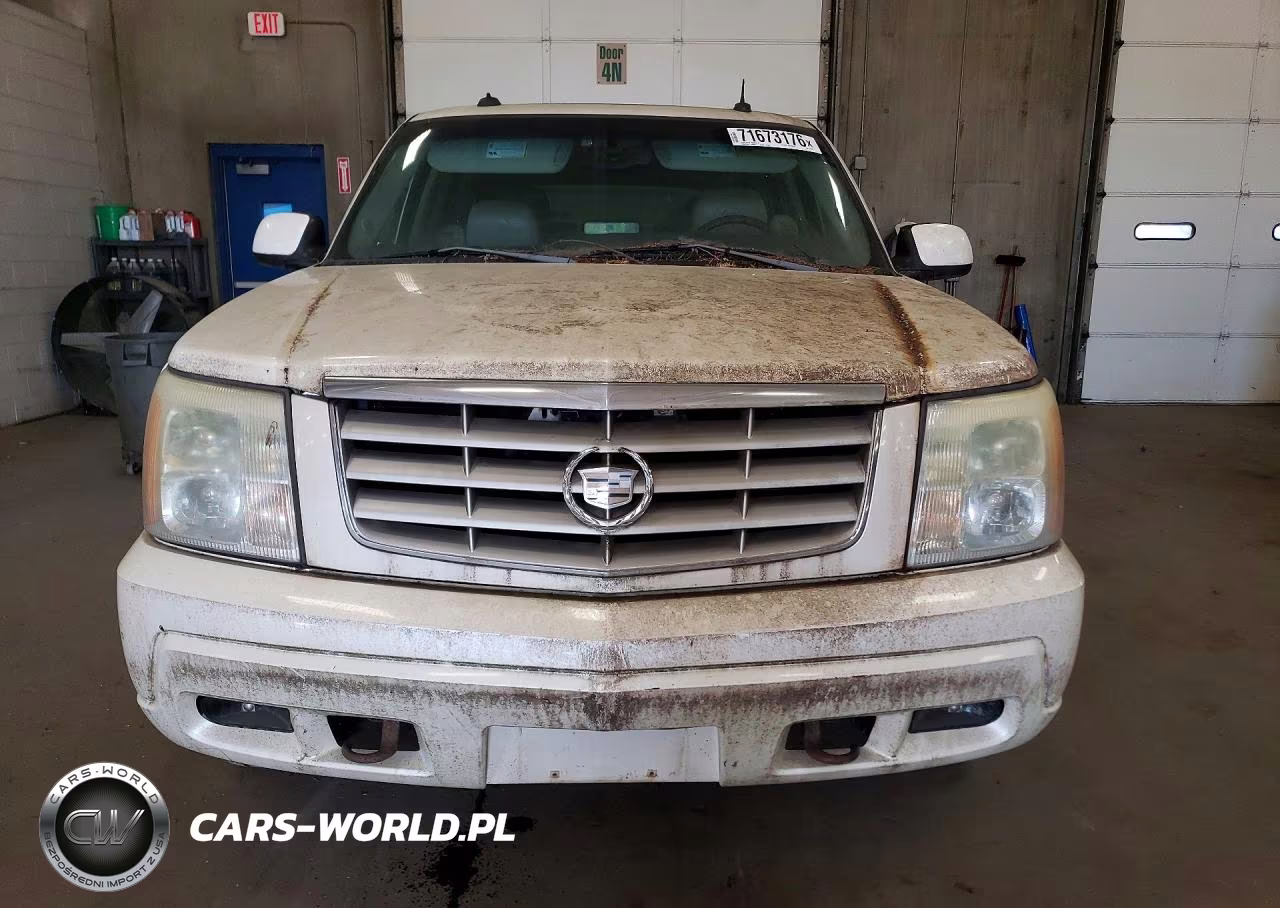 2003 Cadillac Escalade Luxury VIN:1GYEK63N13R174955 - 5