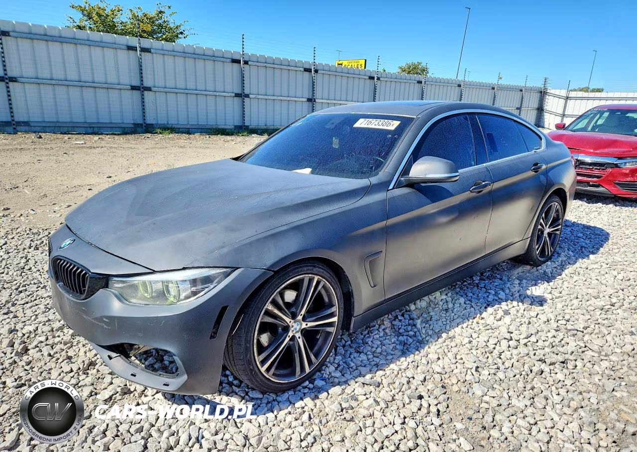 2019 BMW 430I Gran Coupe VIN:WBA4J1C57KBM18247 - 1
