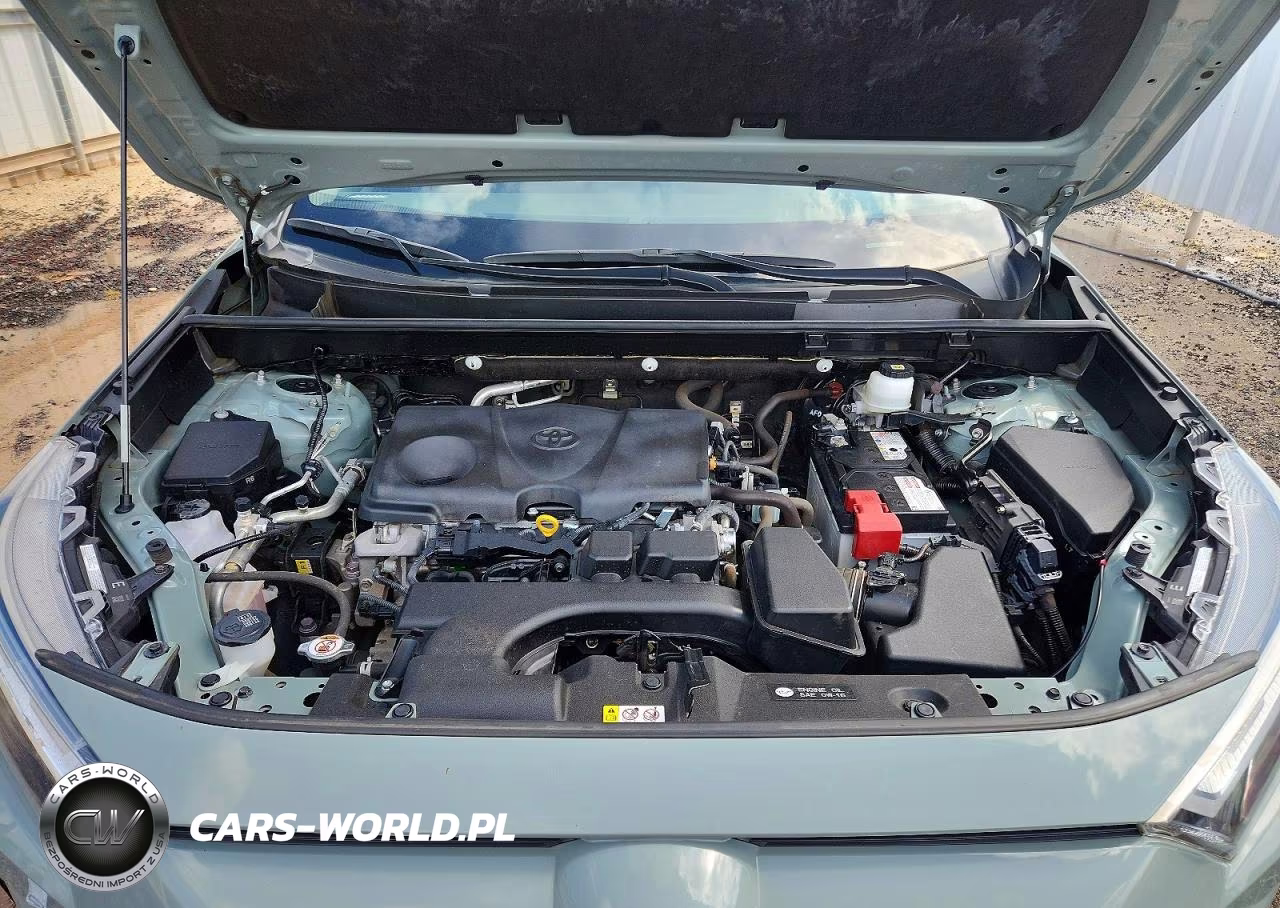 2023 Toyota Rav4 Xle VIN:JTMW1RFV4PD113466 - 12
