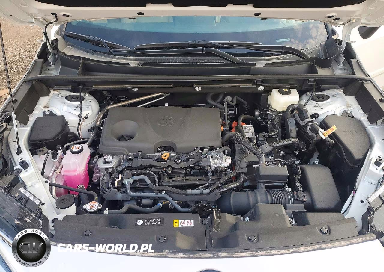2026 Toyota Rav4 Xle Premium VIN:2T36DRBV1TW021158 - 11