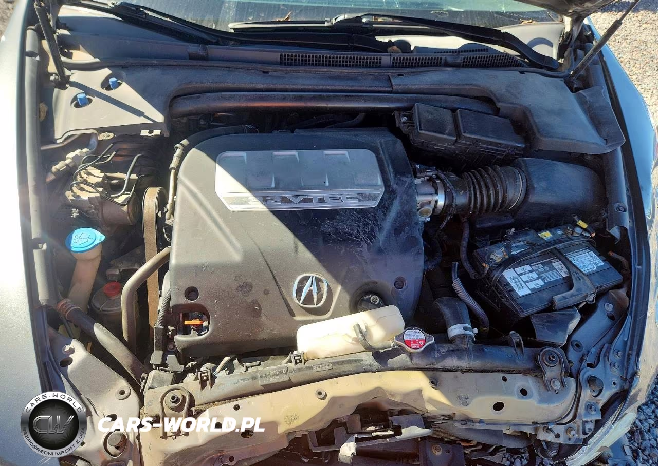 2008 Acura Tl VIN:19UUA66228A015357 - 11