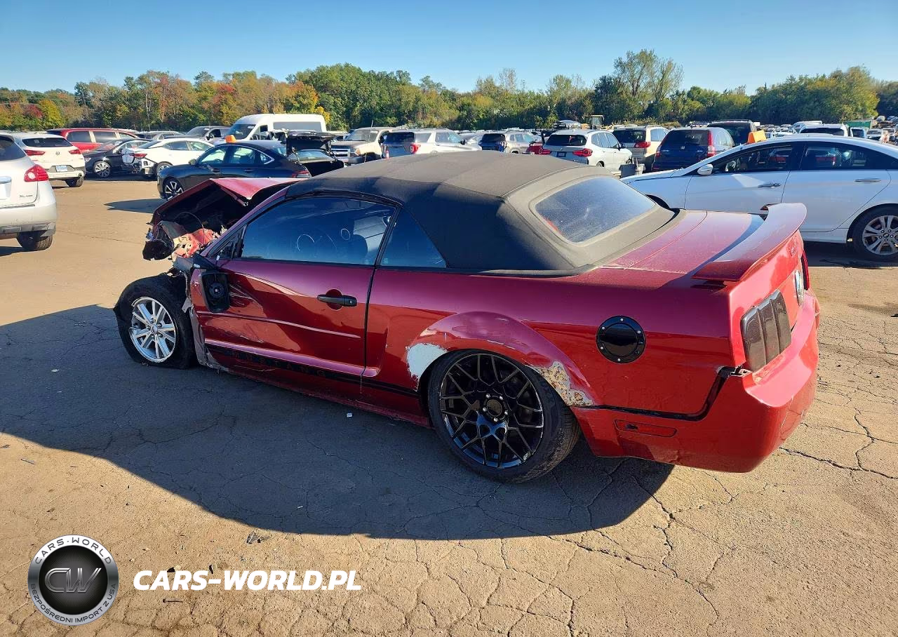 2006 Ford Mustang VIN:1ZVFT84N465244751 - 2