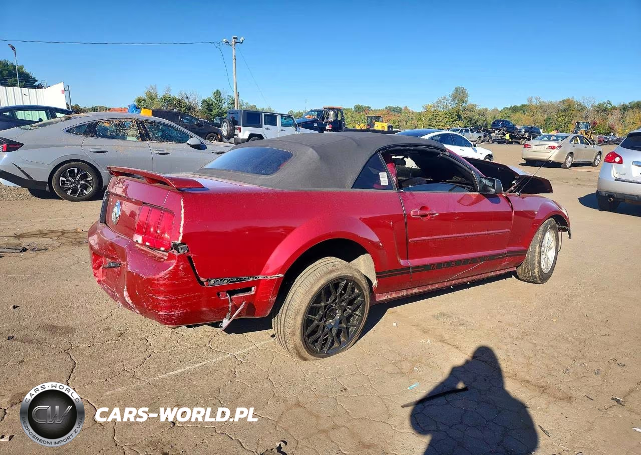 2006 Ford Mustang VIN:1ZVFT84N465244751 - 3