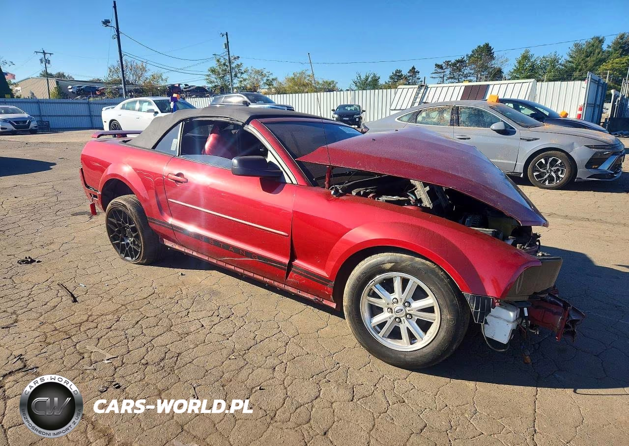 2006 Ford Mustang VIN:1ZVFT84N465244751 - 4
