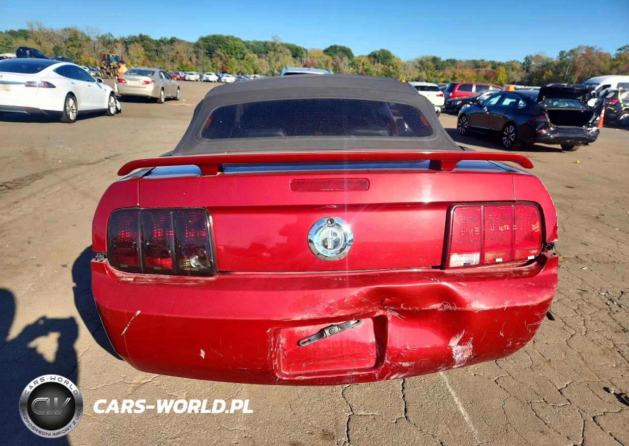 2006 Ford Mustang VIN:1ZVFT84N465244751 - 6