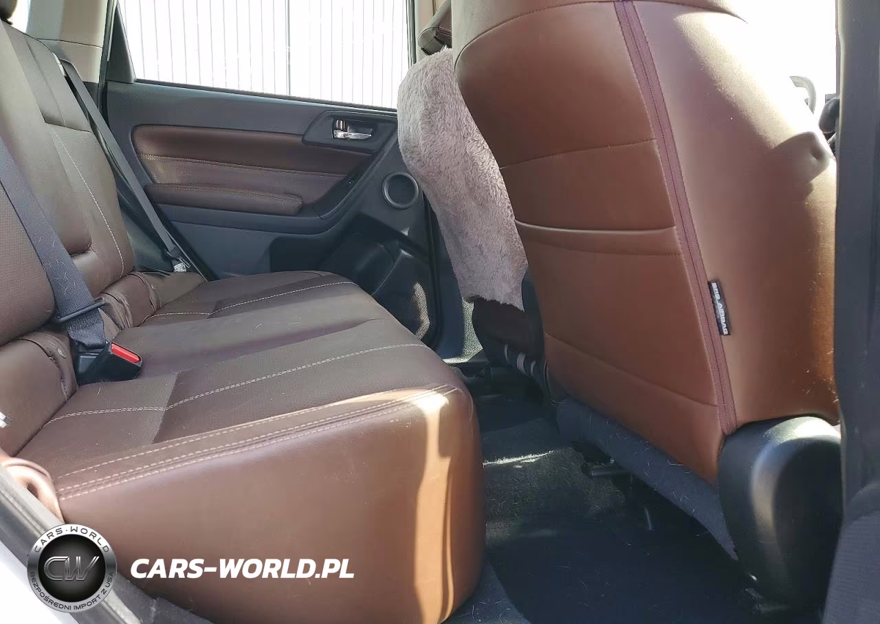 2017 Subaru Forester 2.0Xt Touring VIN:JF2SJGWC9HH807647 - 10