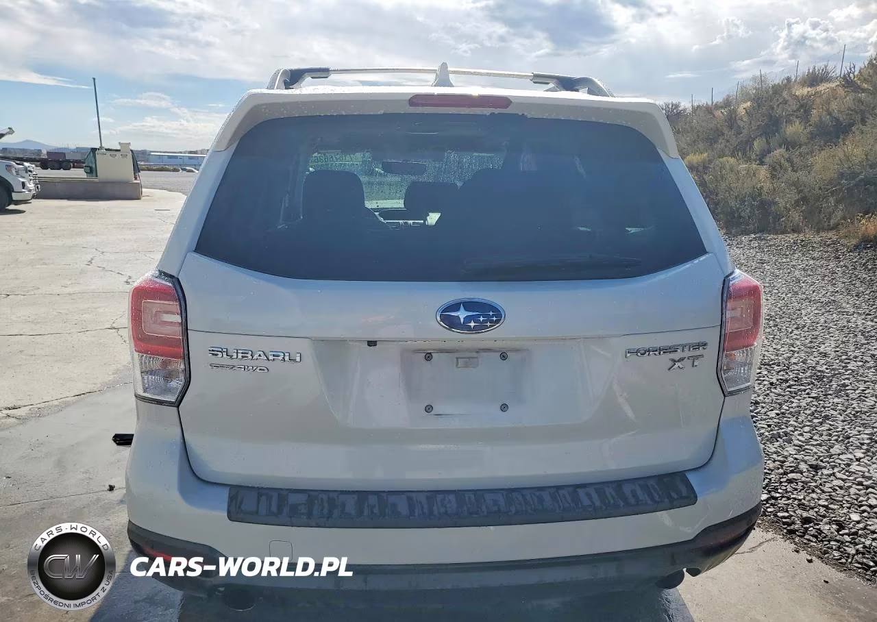 2017 Subaru Forester 2.0Xt Touring VIN:JF2SJGWC9HH807647 - 6